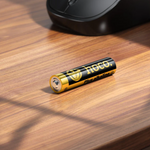 AAA alkaline batteries LR03 1.5V 10-piece pack