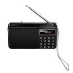 Hoco Mult Function Portable Radio with AM + FM Dual Mode