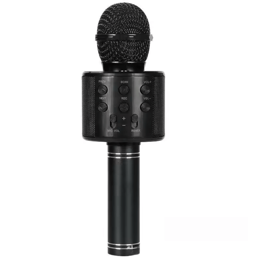 portable-karaoke-microphone-for-kids
