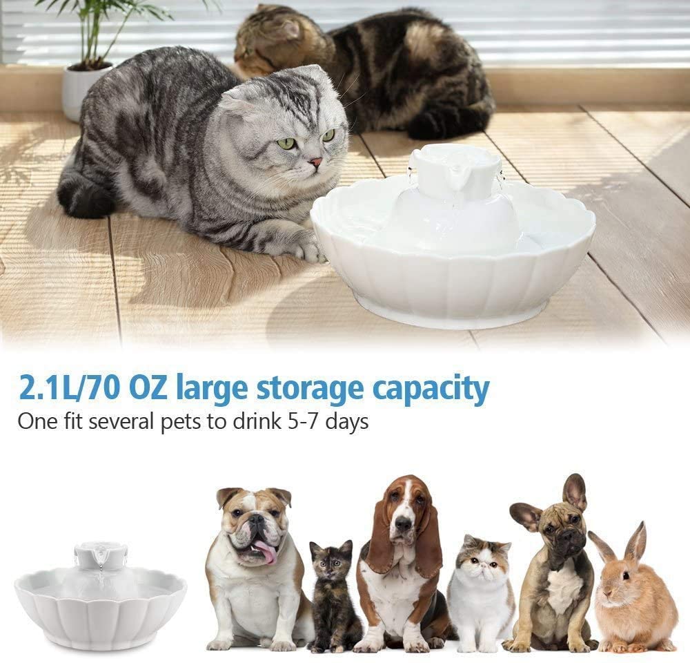 iPettie Ceramic Pet Drinking Fountain Water Cat