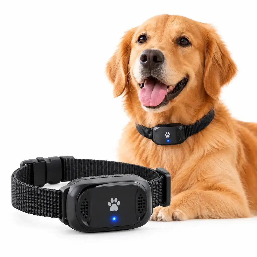 A golden retriever wearing a black electronic barking control collar sits on a light rug in a home setting, with a second matching collar shown in the foreground. White text icons on the left say it stops excessive barking, is safe and humane, and has a rechargeable battery.