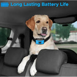 Dog Anti Barking Collar Beeping Chargeable Training Device (Blue)