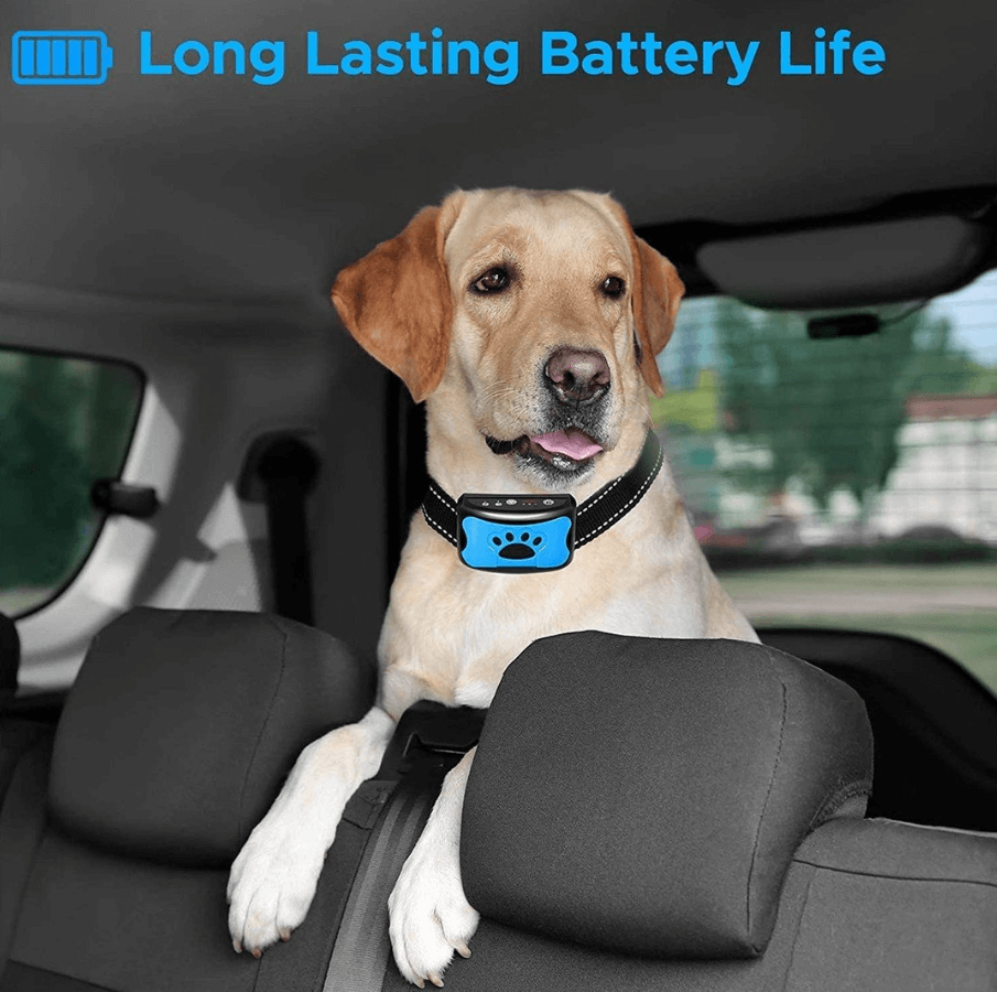 Rechargeable dog anti barking collar with USB charging