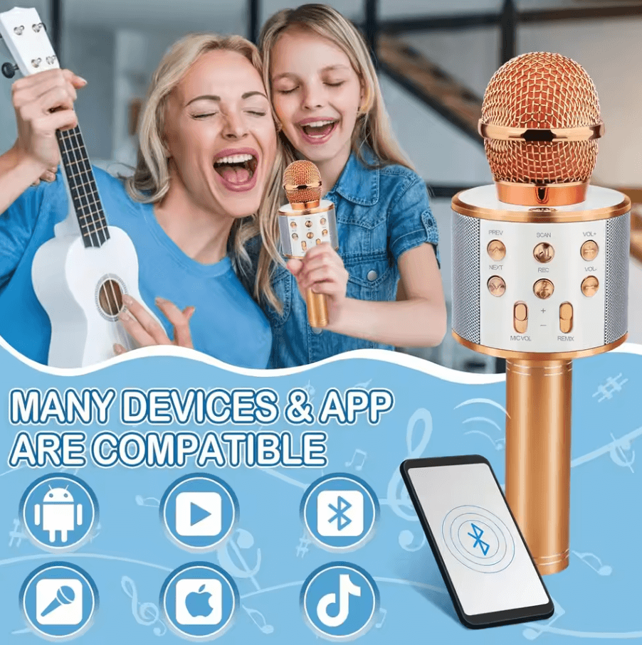 Karaoke Microphone with FM Radio
