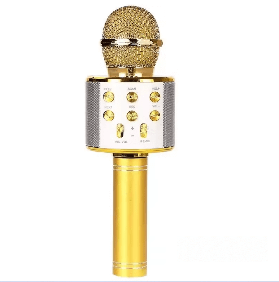 Portable Karaoke Microphone for Kids