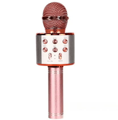 Portable Karaoke Microphone for Kids