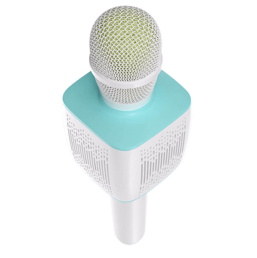 Portable Karaoke Microphone Speaker BK5 Top Design